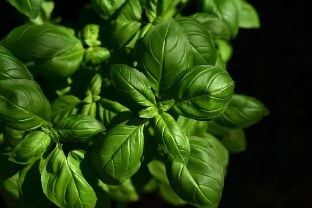 How to Build a Culinary Network for Career Success