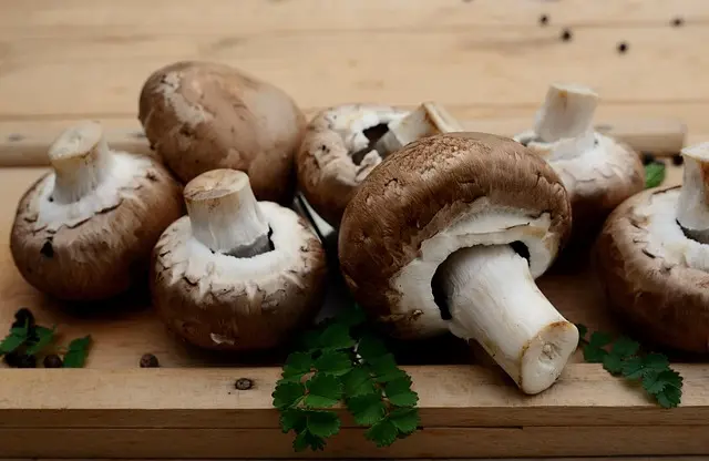 How to Build Your Culinary Skills: A Step-by-Step Guide