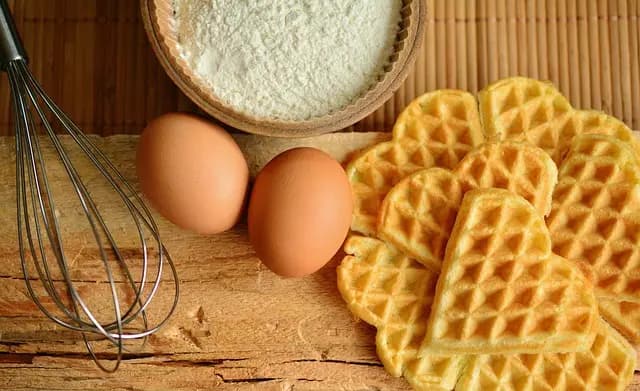 Navigating Your Culinary Education: What You Need to Know