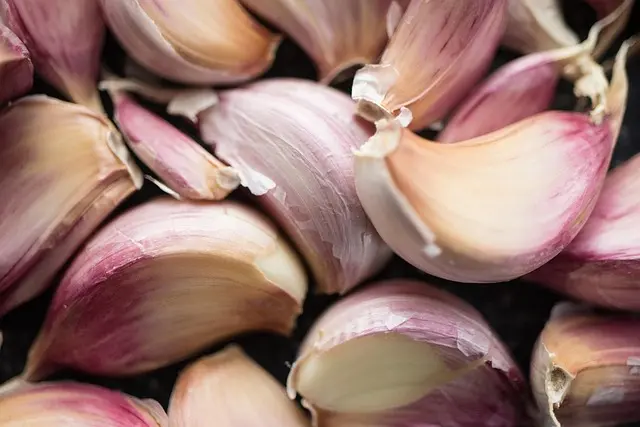 Essential Cooking Techniques Every Aspiring Chef Should Master