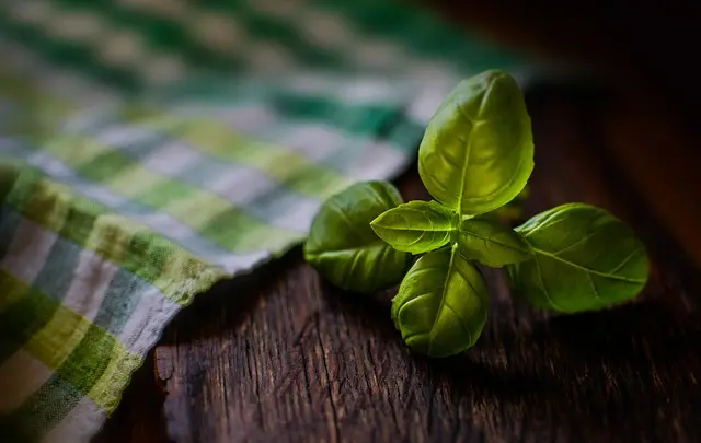 How to Navigate Culinary School Admissions for Aspiring Chefs