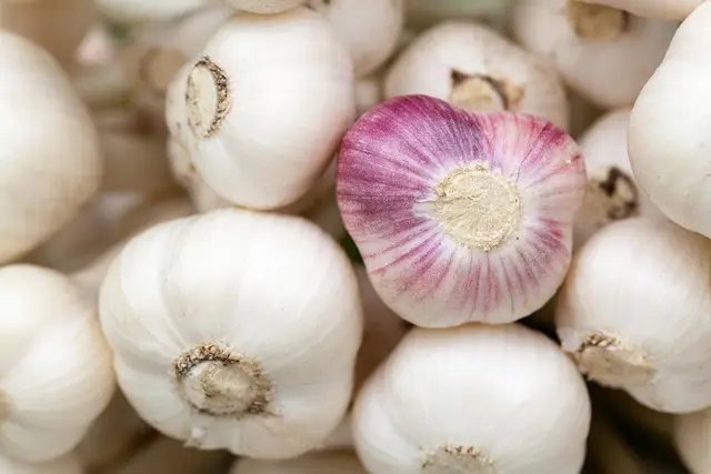 How to Build a Strong Culinary Portfolio as an Aspiring Chef