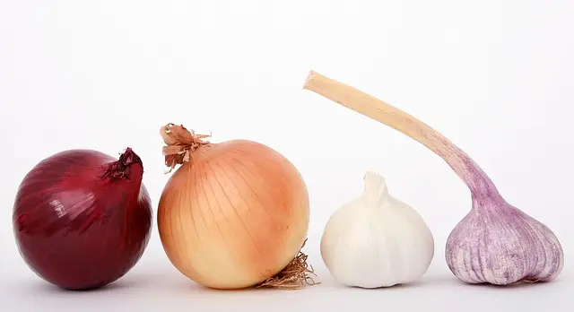 How to Build Your Culinary Skills: Essential Tips for Success