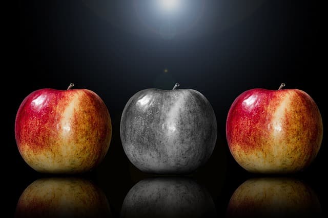 How to Choose the Right Culinary Specialty for Your Career