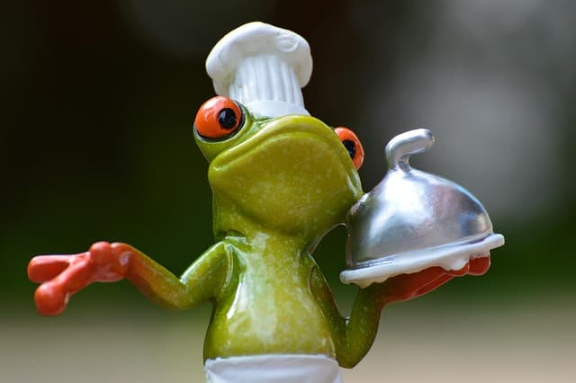 How to Develop a Culinary Career Plan That Works